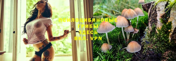 скорость Алзамай
