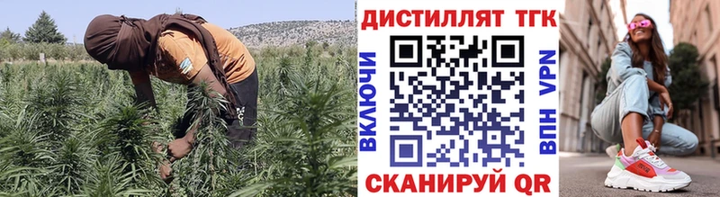 где найти   Моршанск  ТГК вейп с тгк 