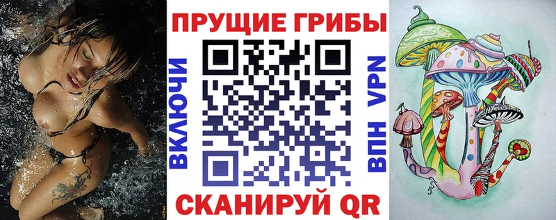 Псилоцибиновые грибы GOLDEN TEACHER  что такое   Моршанск 